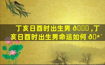 丁亥日酉时出生男 🐛 ,丁亥日酉时出生男命运如何 🪴